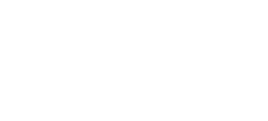 Projects completed for Government Pensions Administration Agency (GPAA)